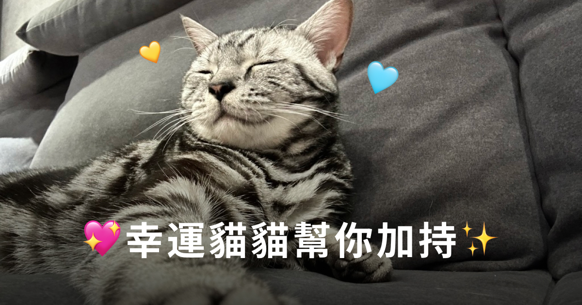 幸運貓貓